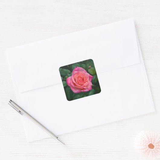Joli Sticker Rose Art (Enveloppe)