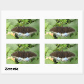 Joli Stickers Papillon Tropical (Feuille)