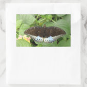 Joli Stickers Papillon Tropical (Sac)