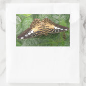 Joli Stickers Papillon Tropical Clipper (Sac)