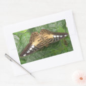 Joli Stickers Papillon Tropical Clipper (Enveloppe)