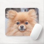 Joli tapis de souris de Pomeranian (Avec souris)
