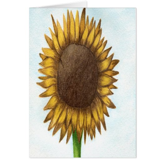 Joli tournesol (Devant)