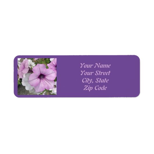 Joli violet Petunia Étiquette photo (Devant)