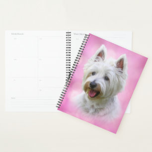 Joli Yorkie blanc