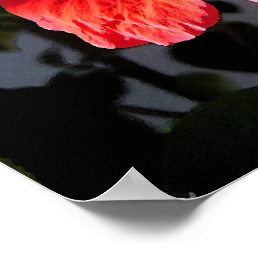 Jolie affiche Hibiscus (Coin)