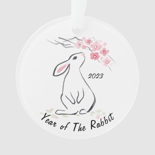 Jolie Année Blanche Rabbit De La Lapine 2023 (devant)