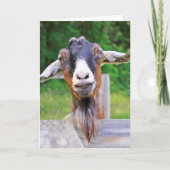 Jolie, Belle, Chèvre Du Coeur Obtenir Bonne Carte (Devant)