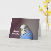 Jolie Blue Budgie photo carte d'anniversaire (Fleur jaune)