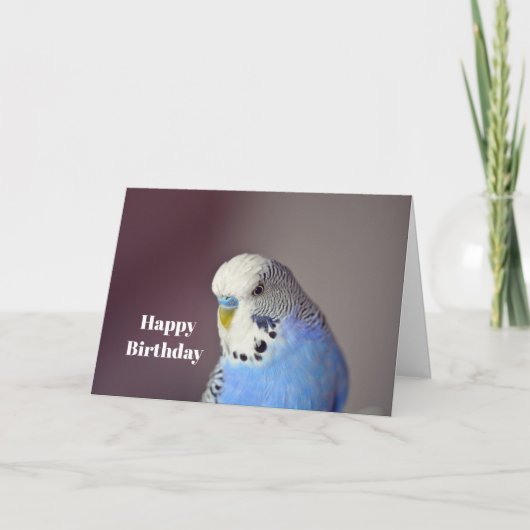 Jolie Blue Budgie photo carte d'anniversaire (Devant)