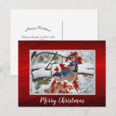 Jolie Blue Jay Photo de neige Carte postale Noël (Devant / Derrière)