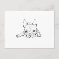 Jolie Bouledogue Français, Carte Postale Personnal
