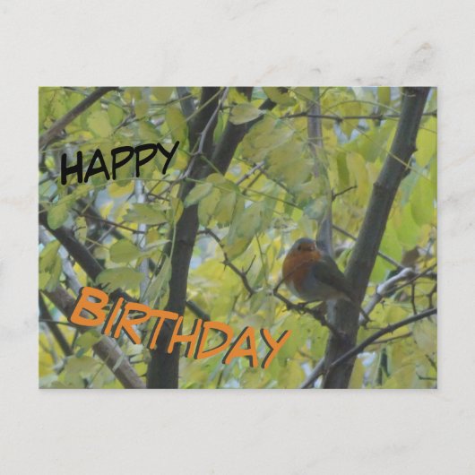 Jolie carte d'anniversaire avec un rouge-gorge dan (Devant)