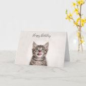 Jolie carte d'anniversaire de chaton tabby (Fleur jaune)