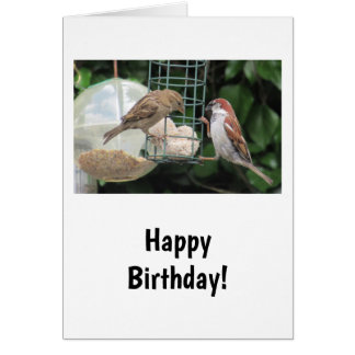 Jolie carte d'anniversaire des petits oiseaux