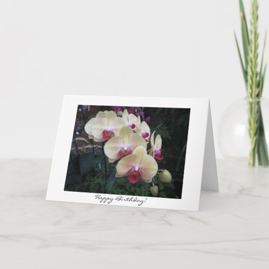 Jolie carte d'anniversaire d'orchidée (Devant)