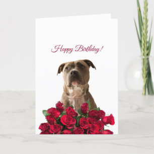 Jolie carte d'anniversaire pour les Roses de Chien