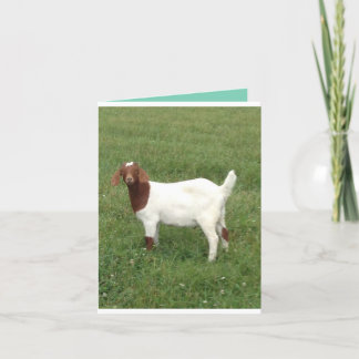 Jolie carte de billet