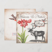 Jolie carte de Noël avec rennes, amaryllis et oise (Devant / Derrière)