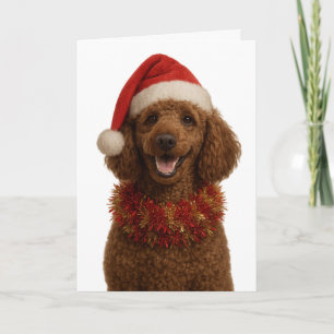 Jolie carte de Noël de Caniche rouge / marron