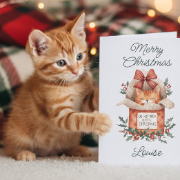 Jolie carte de Noël de chat orange - Ne pas ouvrir
