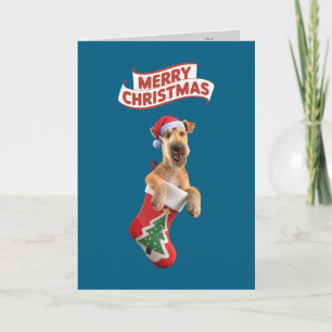 Jolie carte de Noël de vacances d'Airedale