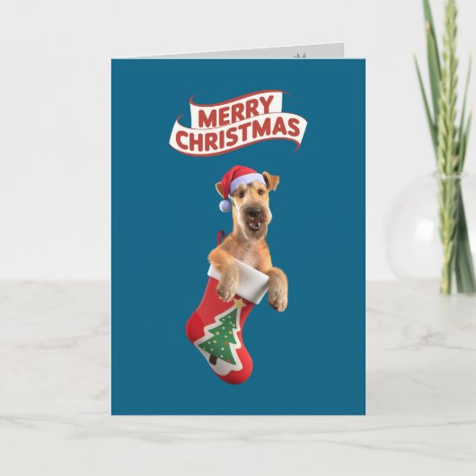 Jolie carte de Noël de vacances d'Airedale (Devant)