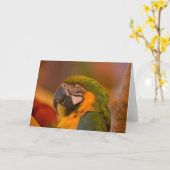Jolie carte de note de perroquet (Fleur jaune)