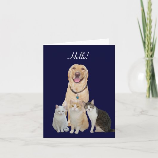 Jolie carte de note pour animaux (Devant)