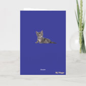 Jolie carte de vœux cône tabby gris (Dos)