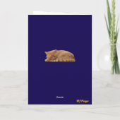 Jolie carte de vœux cône tabby orange (Dos)