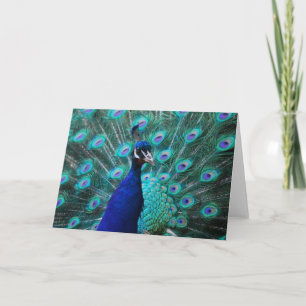 Jolie carte de voeux de paon