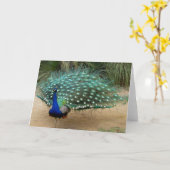 Jolie carte de voeux de paon (Fleur jaune)