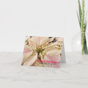 Jolie carte en rose Poinsettia de Noël