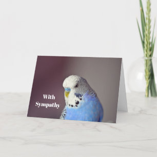 Jolie carte photo photo Budgie bleu