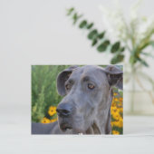 Jolie Carte Postale (Debout devant)