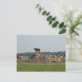 jolie carte postale (Debout devant)