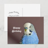 Jolie carte postale d'anniversaire de perroquet bl (Devant / Derrière)