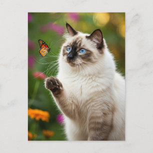 Jolie carte postale de chat blanc papillon yeux bl