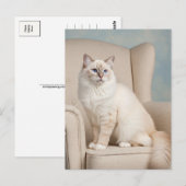 Jolie Carte Postale de Chat Blanc Yeux Bleus (Devant / Derrière)