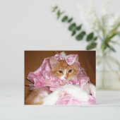 Jolie carte postale de chaton rose (Debout devant)
