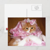 Jolie carte postale de chaton rose (Devant / Derrière)