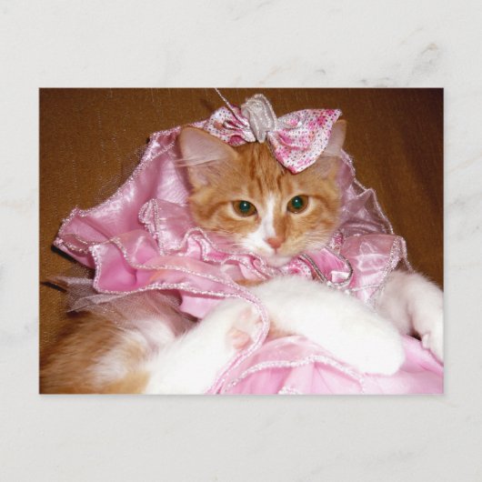 Jolie carte postale de chaton rose (Devant)
