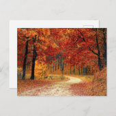 Jolie carte postale de forêt (Devant / Derrière)