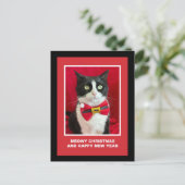 Jolie carte postale de Noël de chat smoking (Debout devant)