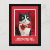 Jolie carte postale de Noël de chat smoking (Devant)