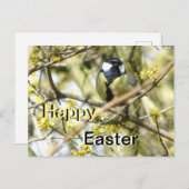 Jolie carte postale de Pâques pour petits oiseaux (Devant / Derrière)