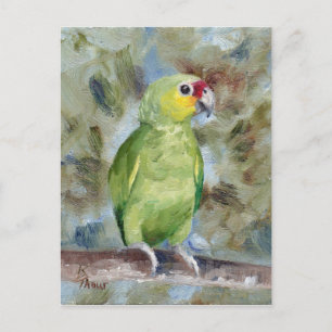 Jolie carte postale de perroquet