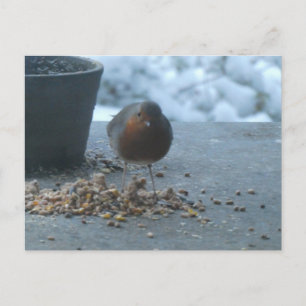 Jolie carte postale DIY Robin dans la neige