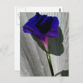 Jolie carte postale florale (Devant / Derrière)